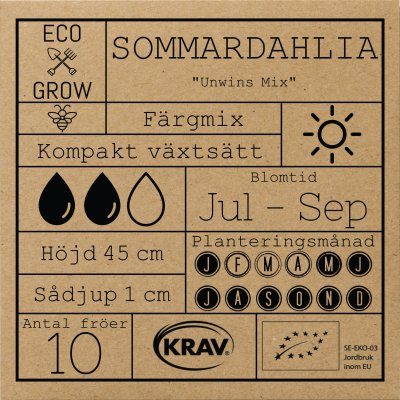 Dahlia, Sommar-, Unwins Mix, Ekologisk