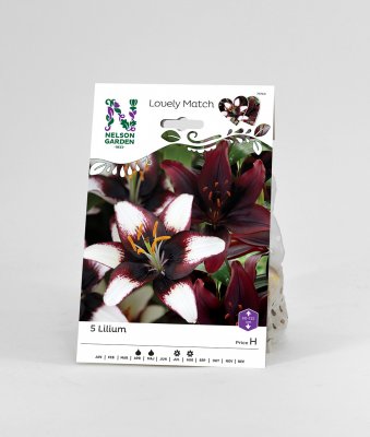 Lovely Match Lilja Black and White