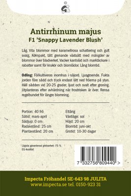 Lejongap F1 Snappy Lavender Blush