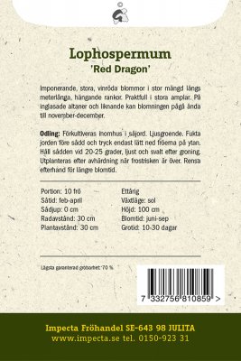 Lejongapsranka Red Dragon