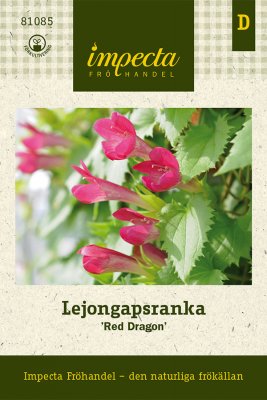 Lejongapsranka Red Dragon