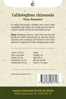 Aster, Sommar-, Fairy Romance