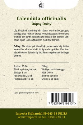 Ringblomma, 'Oopsy Daisy'