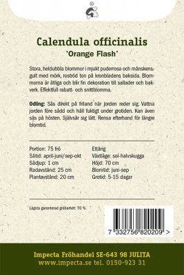 Ringblomma, 'Orange Flash'