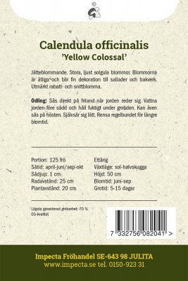 Ringblomma, Yellow Colossal