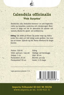 Ringblomma, 'Pink Surprise'
