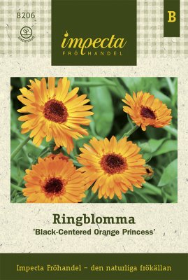 Ringblomma, 'Black-Centered Orange Prince'