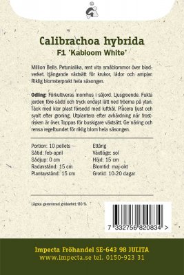 Petunia, Mini-, 'Kabloom White' F1