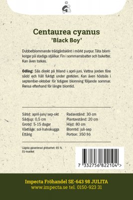 Blåklint Black Boy