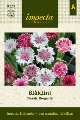 Blåklint Classic Romantic