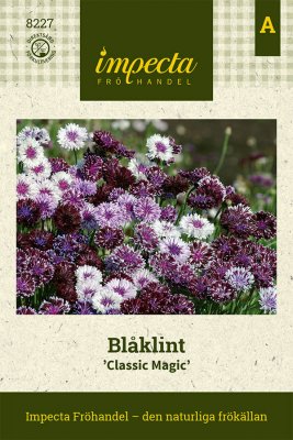 Blåklint Classic Magic