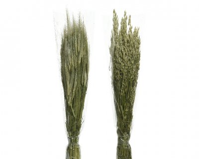 Torkade Sädesslag 75cm