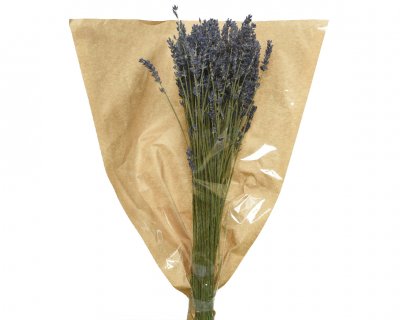 Bukett Torkad Lavendel Lila 50cm