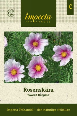 Rosenskära 'Sweet Dreams'