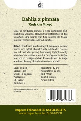 Dahlia, Sommar-, Redskin Mixed