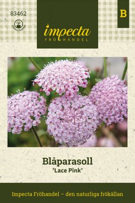 Blåparasoll, Lace Pink