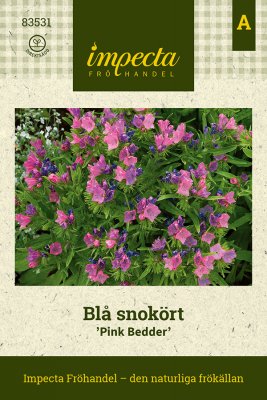 Blå Snokört Pink Bedder