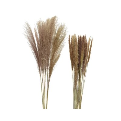 Plym Bunt Mix 85-75cm