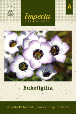 Bukettgilia