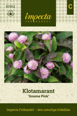 Klotamarant Gnome Pink