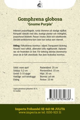 Klotamarant Gnome Purple