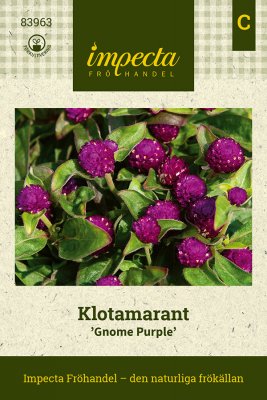 Klotamarant Gnome Purple