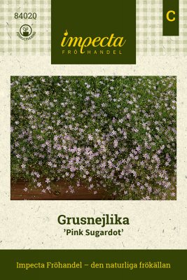 Grusnejlika Pink Sugardot