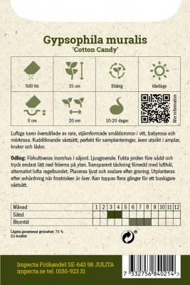 Grusnejlika (Murslöja) Cotton Candy