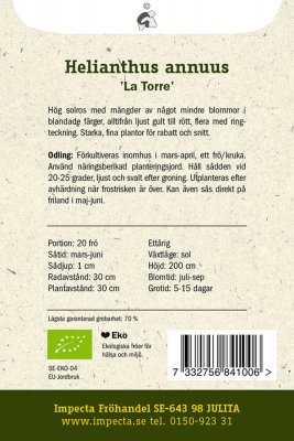 Solros, 'La Torre', Ekologisk
