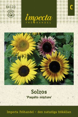 Solros, 'Paquito Mix'