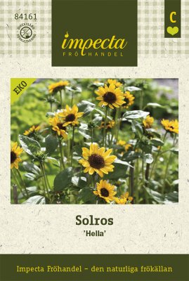Solros, 'Hella'
