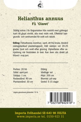 Solros, Purpur-, 'F1 Claret'