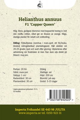 Solros F1 'Copper Queen'
