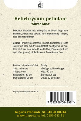 Rabatteternell Silver Mist