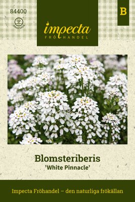 Blomsteriberis Whtie Pinnacle