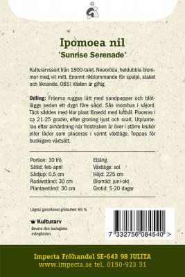 Dubbel Kejsarvinda Sunrise Serenade