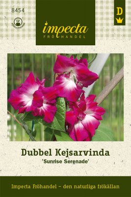 Dubbel Kejsarvinda Sunrise Serenade