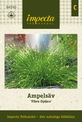 Ampelsäv Fibre Optics