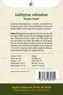 Luktärt 'Ocean Foam'