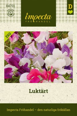 Luktärt, Ekologisk
