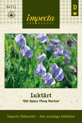 Luktärt 'Old Spice Flora Norton'