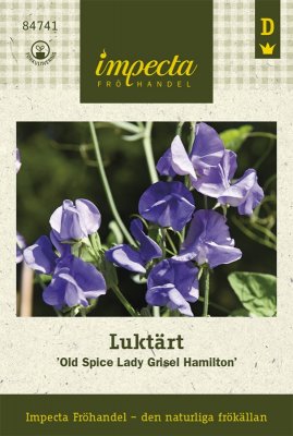 Luktärt 'Old Spice Lady Grisel Hamilton'