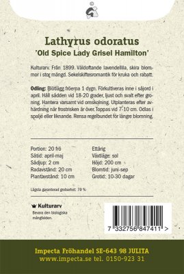 Luktärt 'Old Spice Lady Grisel Hamilton'