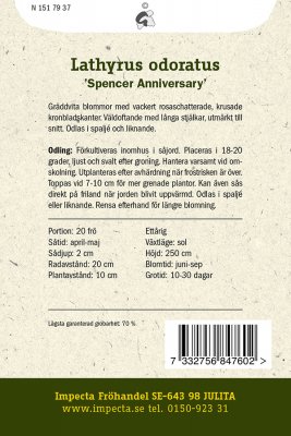 Luktärt Spencer Swan Anniversary