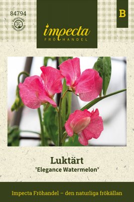 Luktärt Elegance Watermelon