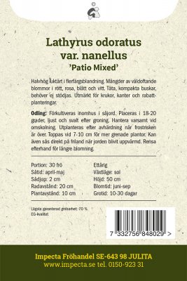 Luktärt, Dvärg- Patio Mixed