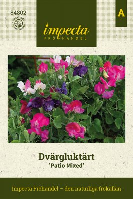 Luktärt, Dvärg- Patio Mixed