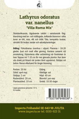 Luktärt, Dvärg-, Villa Roma Mix