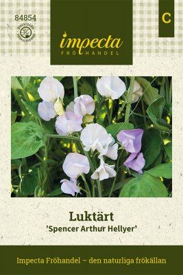 Luktärt 'Spencer Arthur Hellyer'