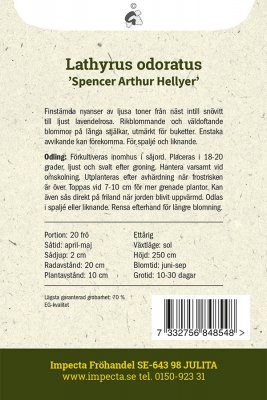 Luktärt 'Spencer Arthur Hellyer'